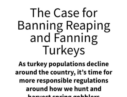 Episode 627: Should ‘Reaping’ & ‘Fanning’ Turkeys Be Illegal?